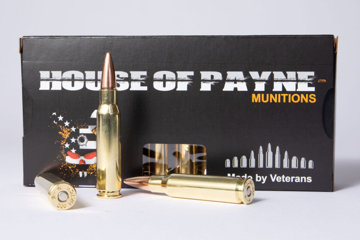 best 308 hunting ammo