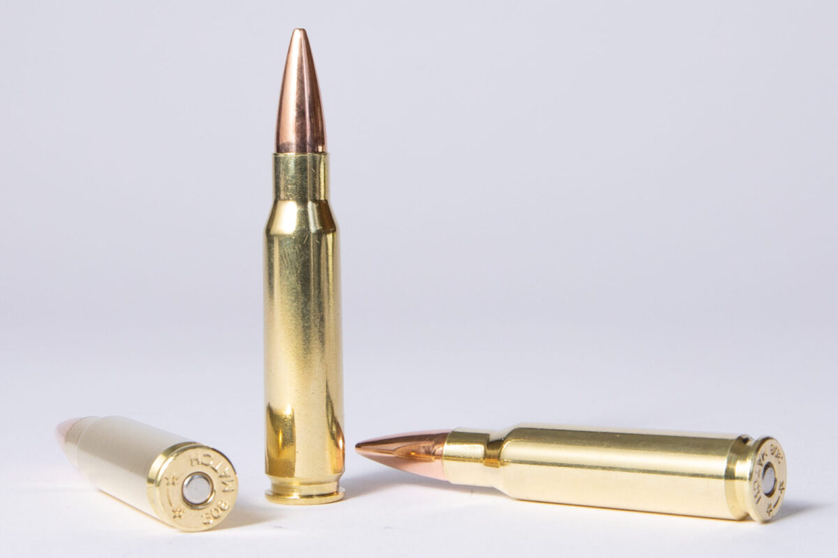 best 308 hunting ammo