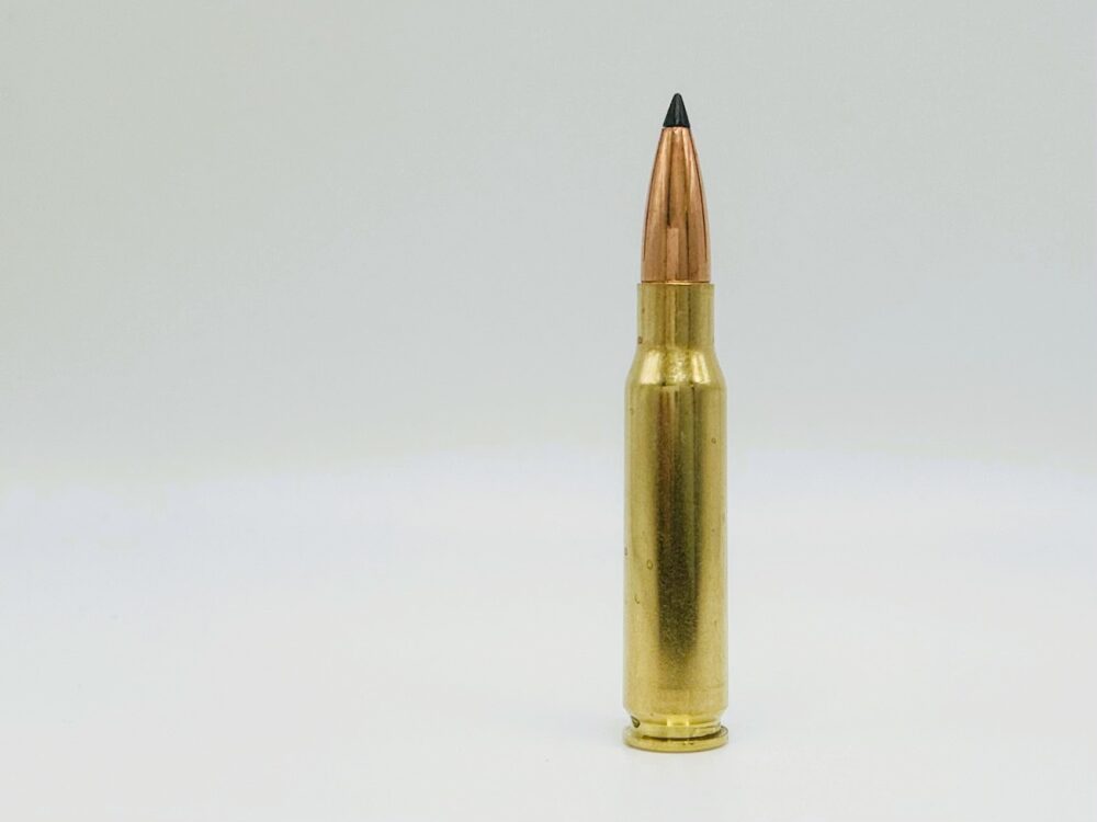 308 WIN 168GR TREX AMMO