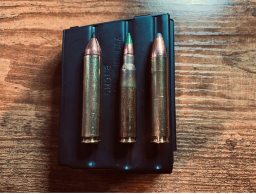 350 Legend vs 5.56: Which is Best for Hunting & Defense?