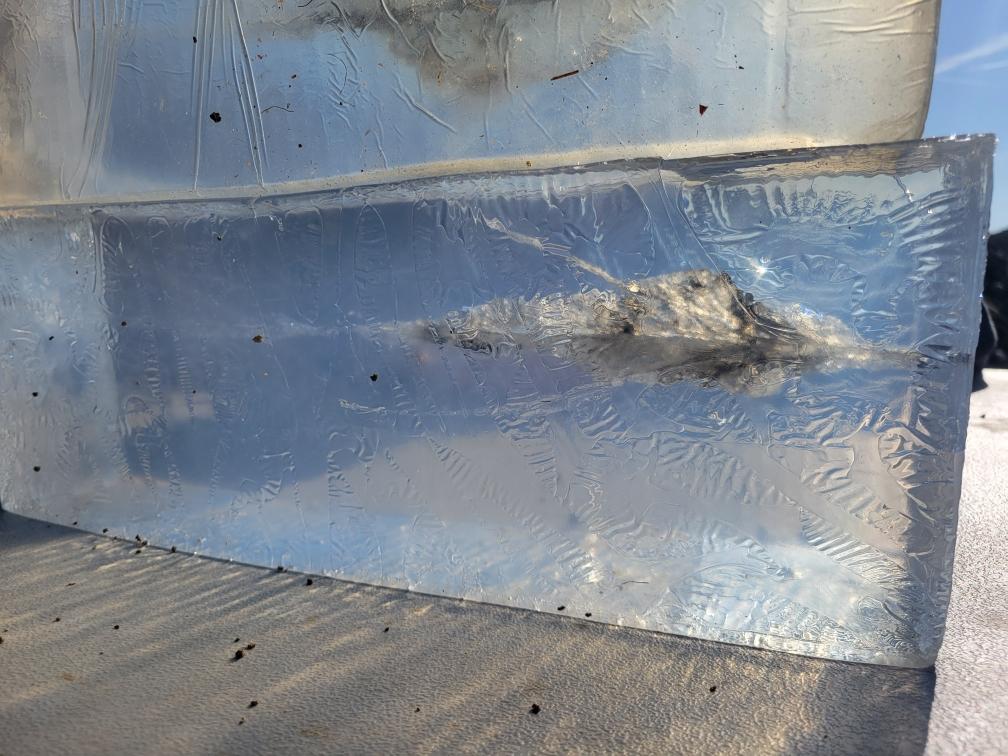 gel block testing the 62-grain 5.56 REX round