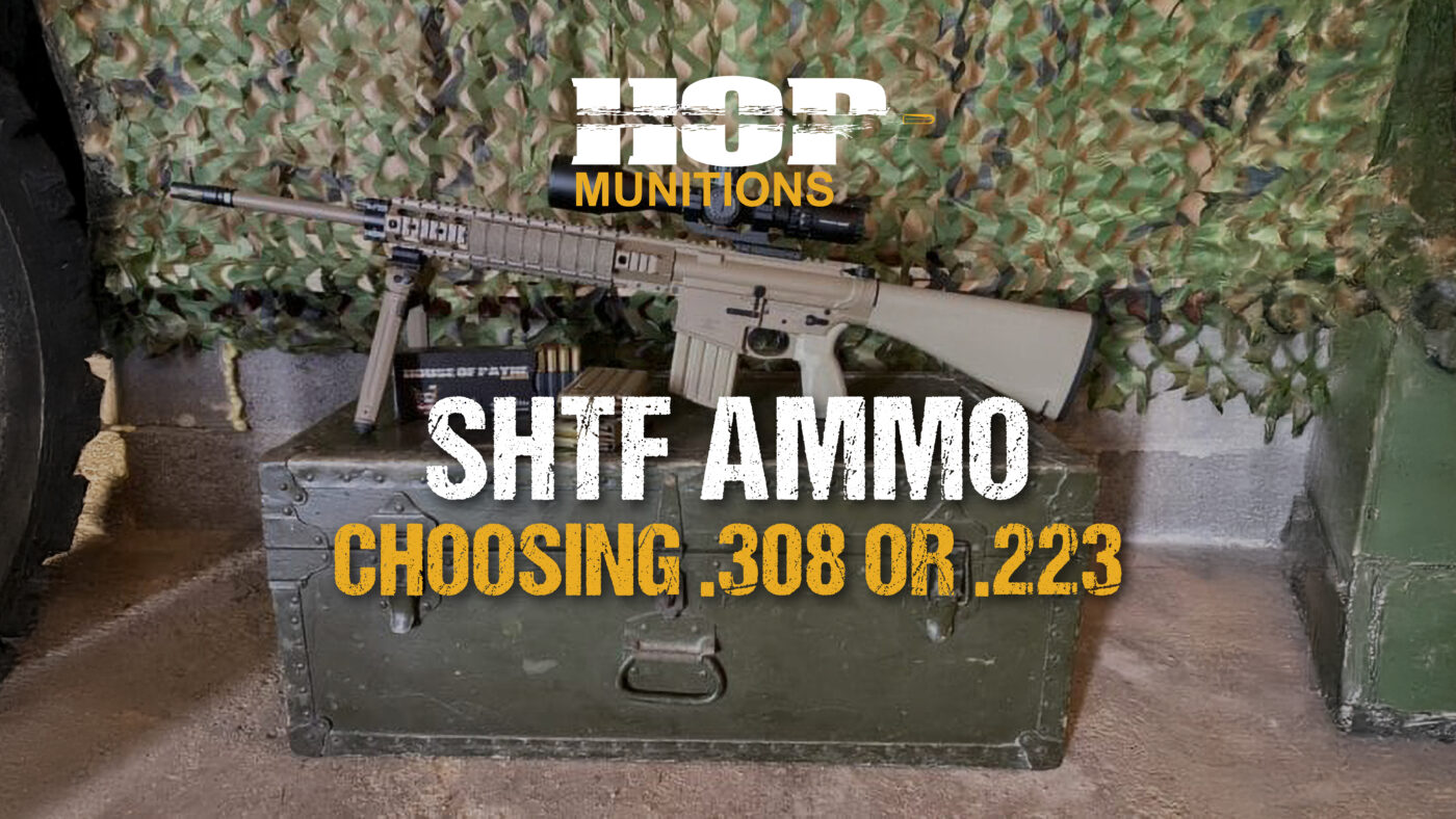 SHTF Ammo: .308 or .223? Which One Should You Stockpile?